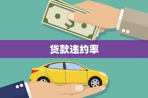 武义县贷款违约率