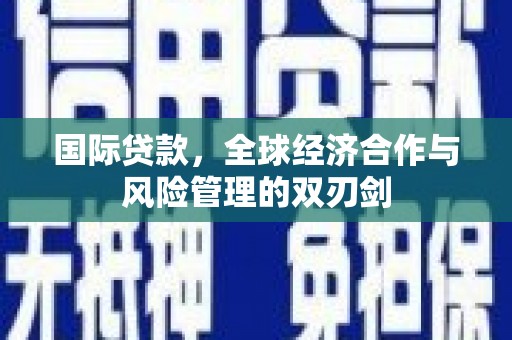 武义县国际贷款，全球经济合作与风险管理的双刃剑