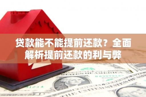 武义县贷款能不能提前还款？全面解析提前还款的利与弊