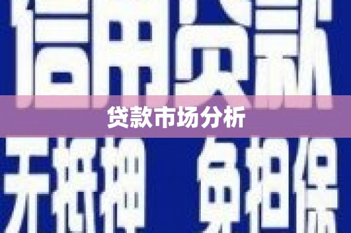 武义县贷款市场分析