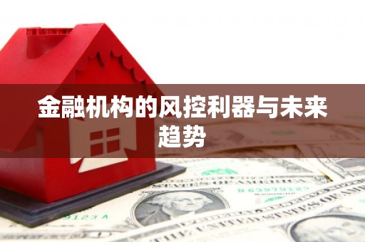 武义县金融机构的风控利器与未来趋势