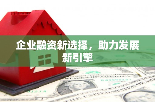 武义县企业融资新选择，助力发展新引擎