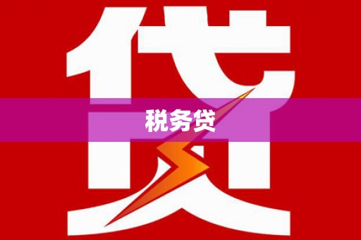 武义县税务贷