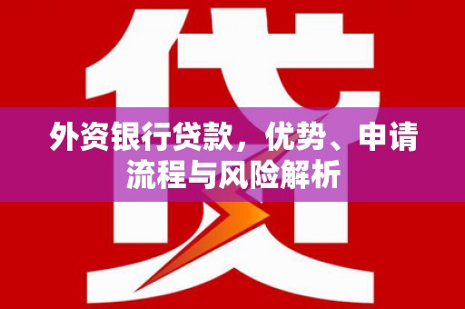 武义县外资银行贷款，优势、申请流程与风险解析
