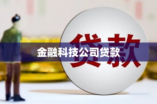武义县金融科技公司贷款