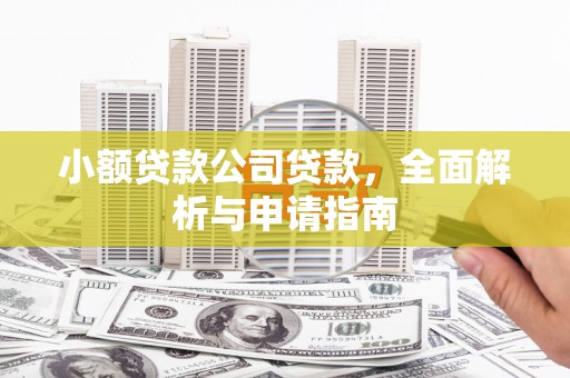武义县小额贷款公司贷款，全面解析与申请指南