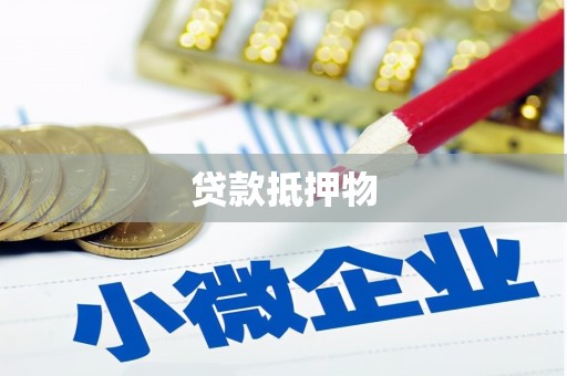 武义县贷款抵押物