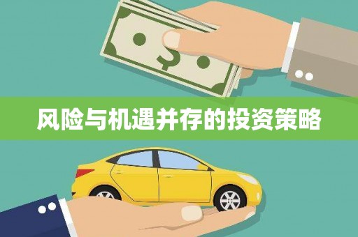武义县风险与机遇并存的投资策略