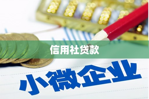 武义县信用社贷款