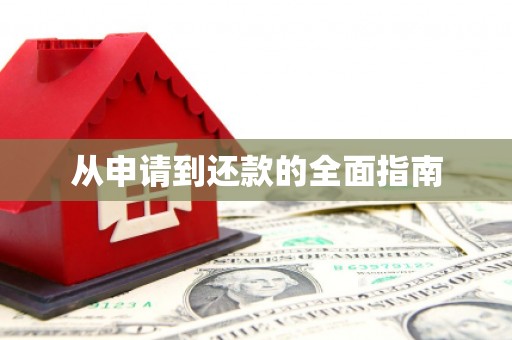 武义县从申请到还款的全面指南