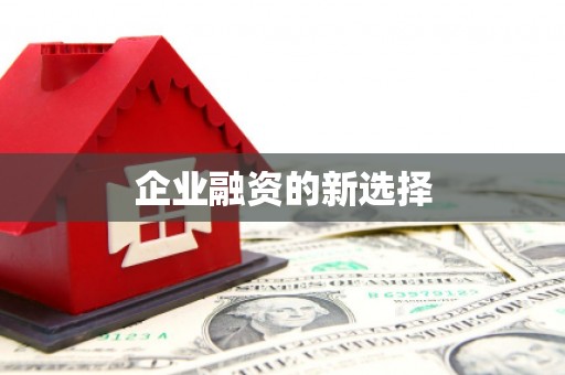 武义县企业融资的新选择
