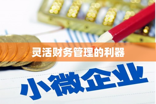 武义县灵活财务管理的利器