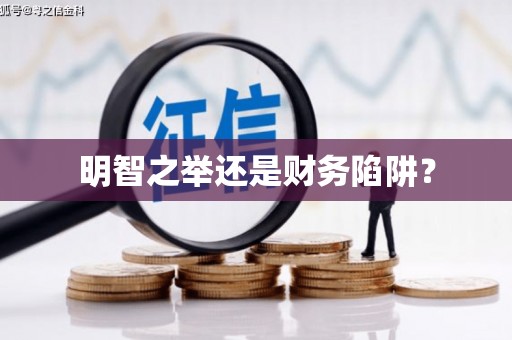 武义县明智之举还是财务陷阱？