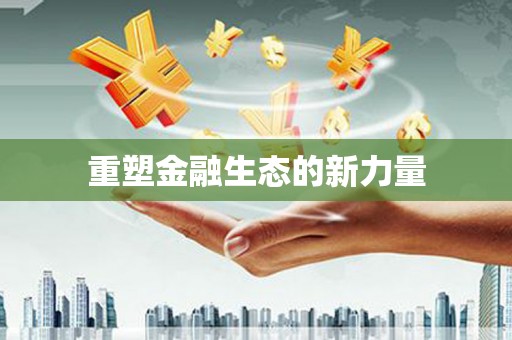 武义县重塑金融生态的新力量