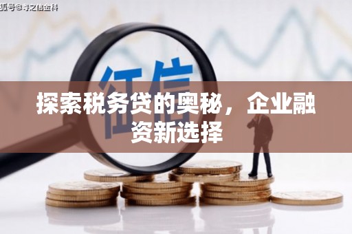 武义县探索税务贷的奥秘，企业融资新选择