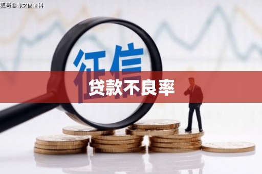 武义县贷款不良率