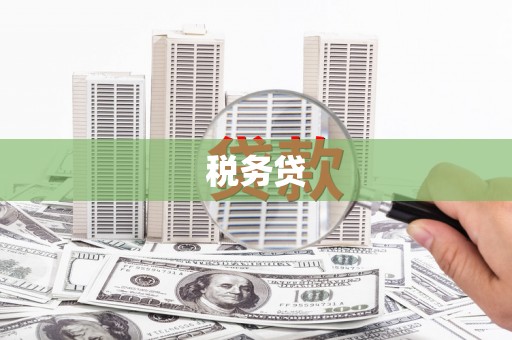 武义县税务贷