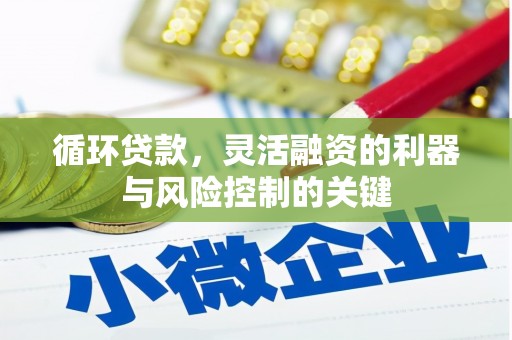 武义县循环贷款，灵活融资的利器与风险控制的关键