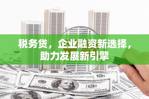 武义县税务贷，企业融资新选择，助力发展新引擎