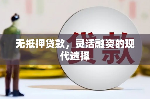 武义县无抵押贷款，灵活融资的现代选择