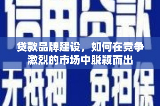 武义县贷款品牌建设，如何在竞争激烈的市场中脱颖而出