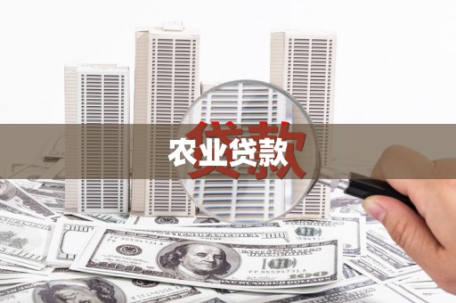 武义县农业贷款