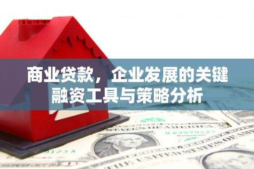 武义县商业贷款，企业发展的关键融资工具与策略分析