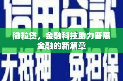 武义县微粒贷，金融科技助力普惠金融的新篇章