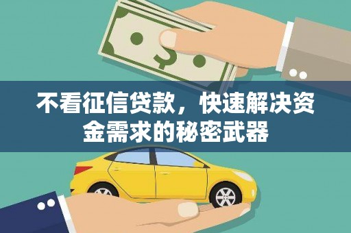 武义县不看征信贷款，快速解决资金需求的秘密武器