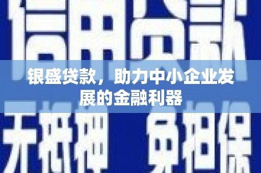 武义县银盛贷款，助力中小企业发展的金融利器