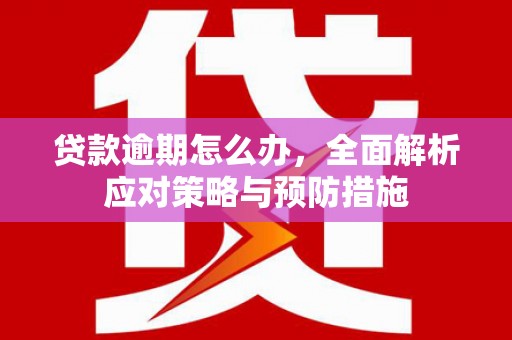 武义县贷款逾期怎么办，全面解析应对策略与预防措施