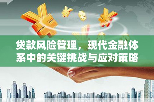 武义县贷款风险管理，现代金融体系中的关键挑战与应对策略