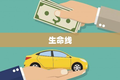 武义县生命线