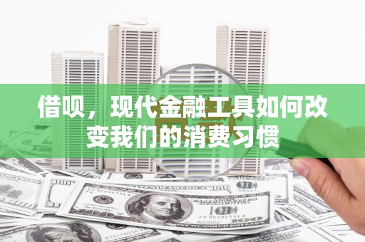 武义县借呗，现代金融工具如何改变我们的消费习惯