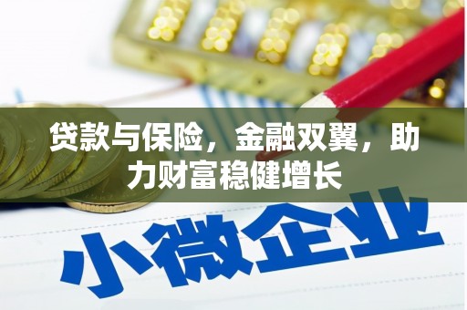 武义县贷款与保险，金融双翼，助力财富稳健增长