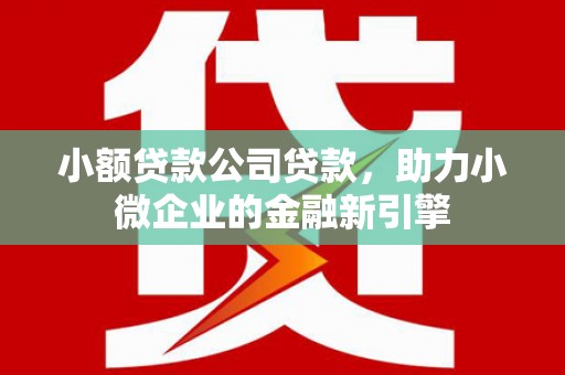 武义县小额贷款公司贷款，助力小微企业的金融新引擎