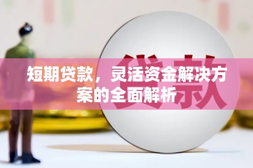 武义县短期贷款，灵活资金解决方案的全面解析