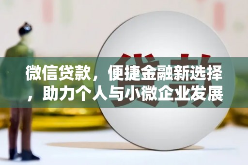 武义县微信贷款，便捷金融新选择，助力个人与小微企业发展