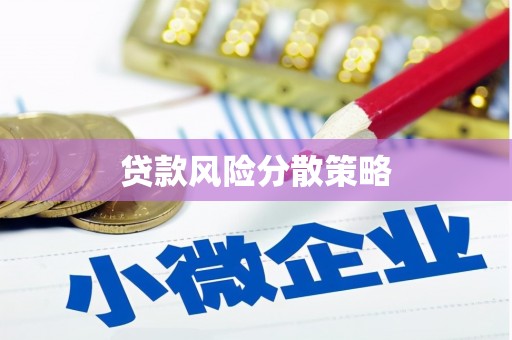 武义县贷款风险分散策略