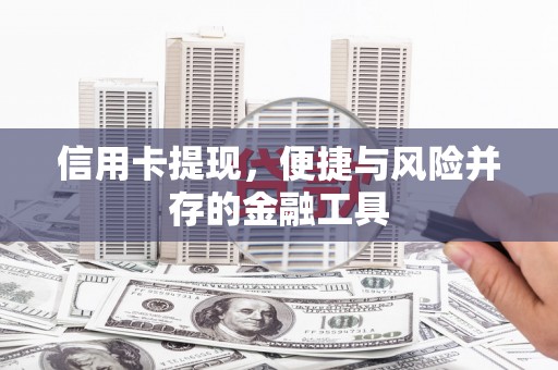 武义县信用卡提现，便捷与风险并存的金融工具