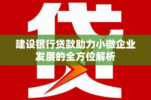 武义县建设银行贷款助力小微企业发展的全方位解析