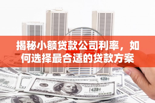 武义县揭秘小额贷款公司利率，如何选择最合适的贷款方案