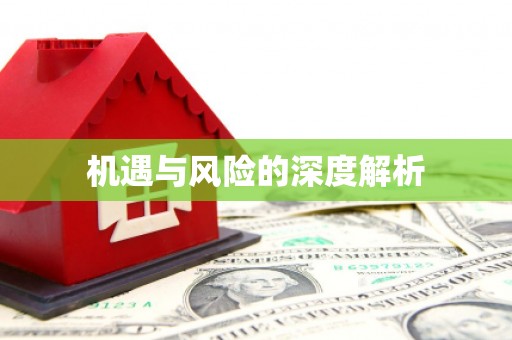 武义县机遇与风险的深度解析