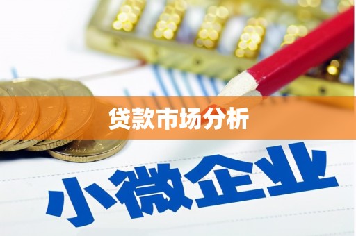 武义县贷款市场分析