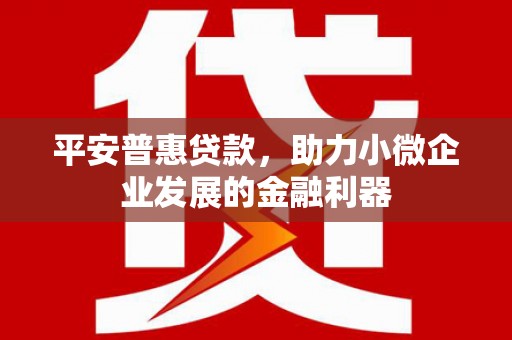 武义县平安普惠贷款，助力小微企业发展的金融利器
