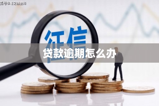 武义县贷款逾期怎么办