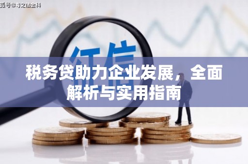 武义县税务贷助力企业发展，全面解析与实用指南