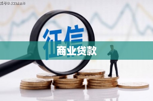 武义县商业贷款