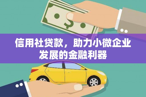 武义县信用社贷款，助力小微企业发展的金融利器