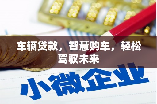 武义县车辆贷款，智慧购车，轻松驾驭未来
